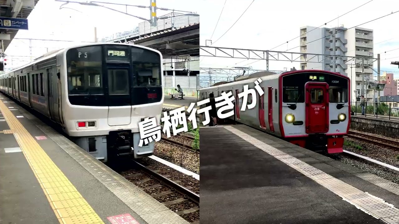 【合作単品】ALICE TOSU KURUNE