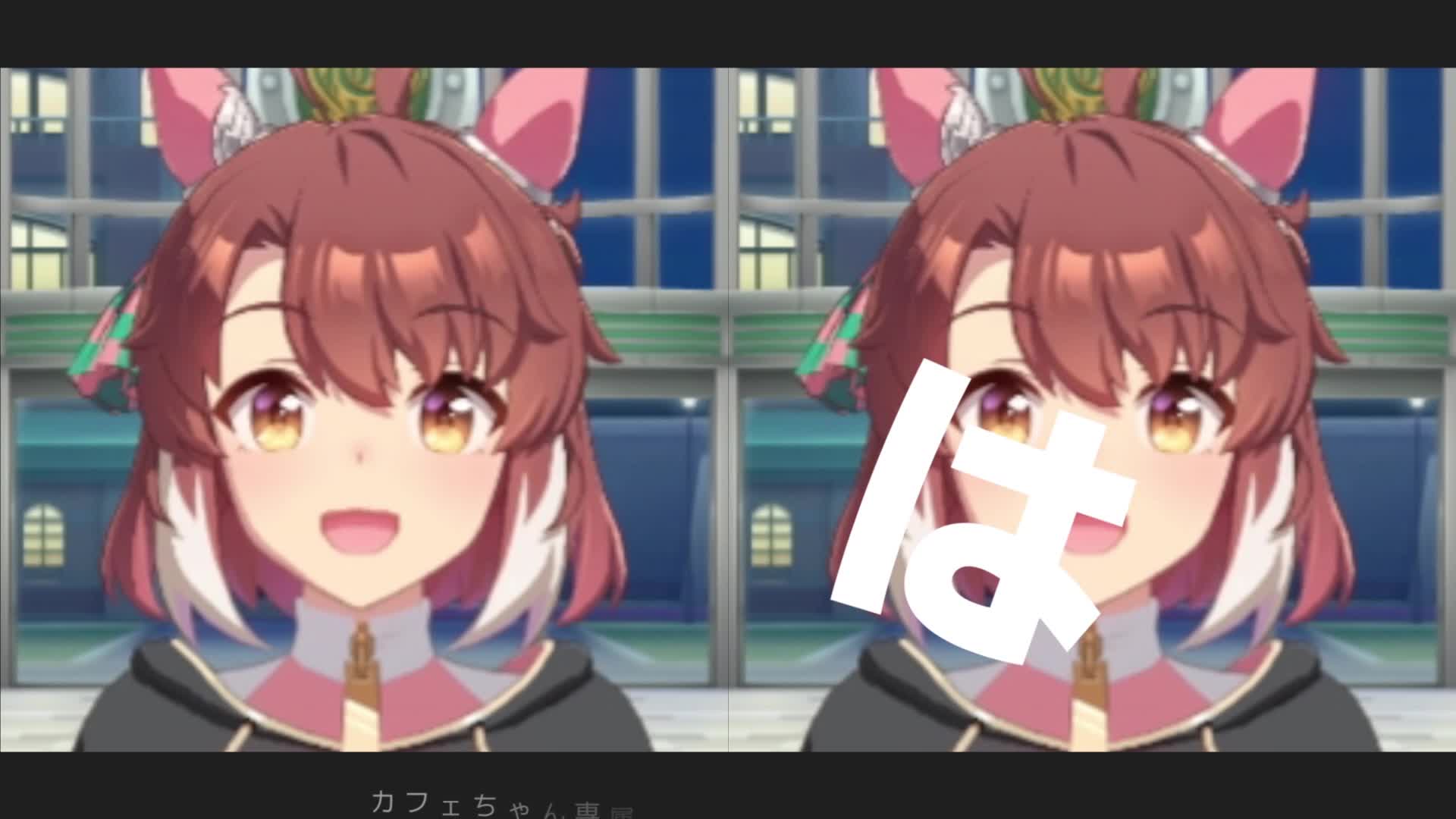 Dantsu Technique